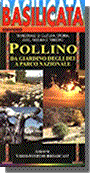 Pollino